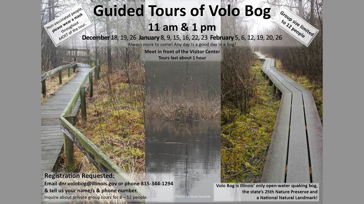 Guided Tours of Volo Bog State Natural Area
